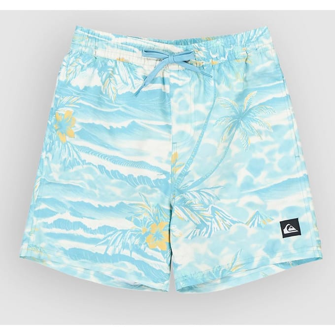 Boardshorts voor kinderen Quiksilver Everyday Printed Volley 14