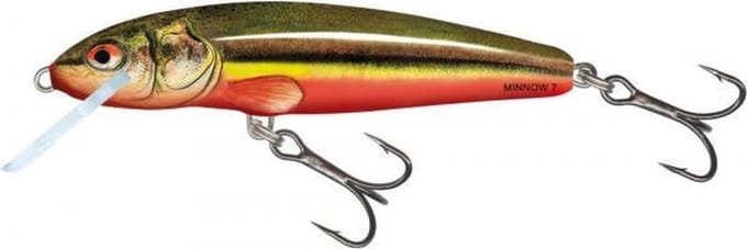 Salmo Minnow 9F 9cm - 10 gram - floating rainbow dace