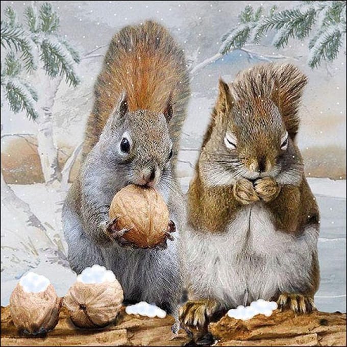 Ambiente servetten - 33x33cm - 20 stuks - Tasty meal