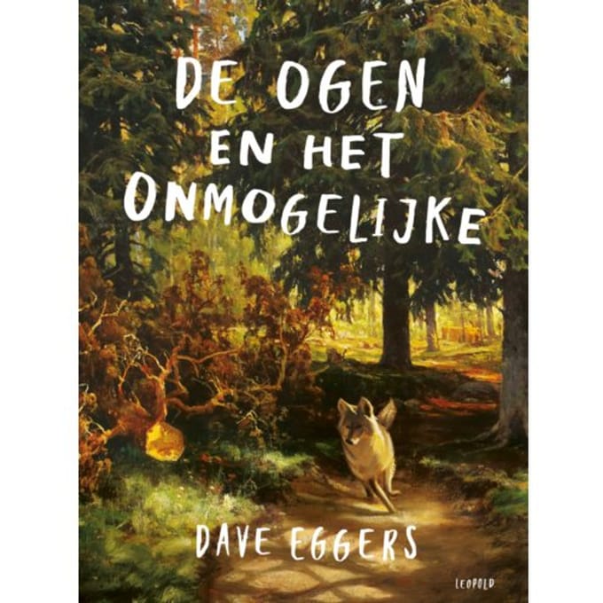 De Ogen En Het Onmogelijke - Dave Eggers