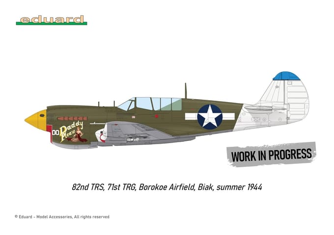 Eduard Dual Combo Royal Class Warhawk Plastic Modelbouwkit EDUR0025 1/48 P-40N (Vliegtuig) gray