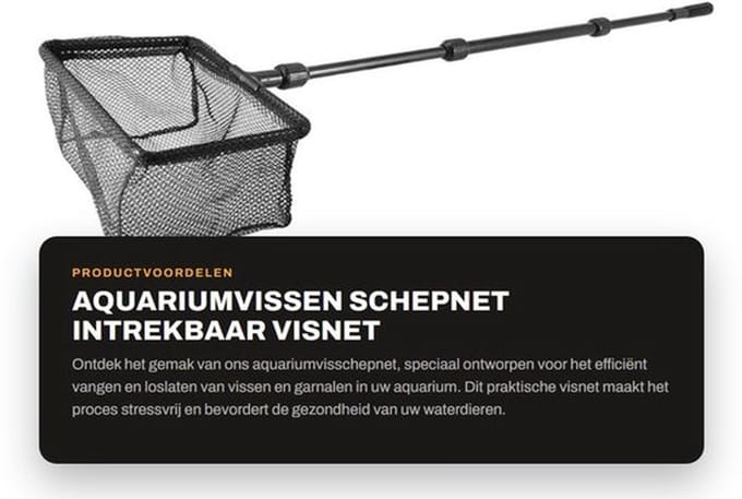 Schepnet Intrekbaar - Visnet - Garnalen Net - Aquarium - Vissen Vangen - Verstelbare Handgreep - Efficiënt en Praktisch - Visschepnet