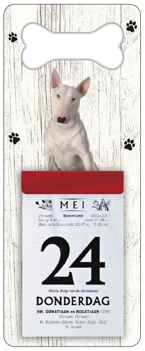 Scheurkalender 2027 Hond: Bull Terriër