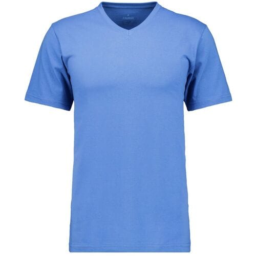 Ragman T-Shirt Uni V-Neck Single Jersey Royal Blue / male