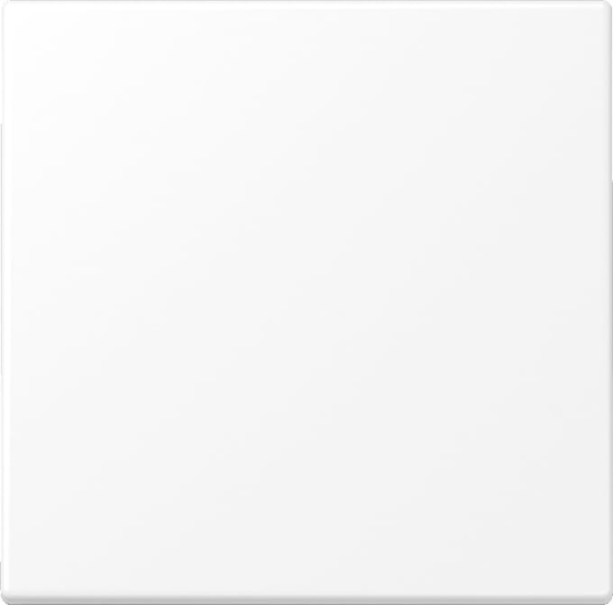 Jung LS Range Bedieningselement/Centrale Plaat LS990WWM - E2VZR