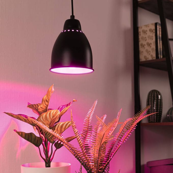 Neordic Hanglamp Hilla E27 max. 40W Zwart dimbaar Metaal