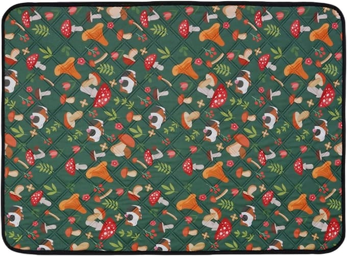 Cavia Bodembedekking - Wasbare Plasmatten - Schoon Verblijf - Vochtabsorberend - 61x45cm - Grijs
