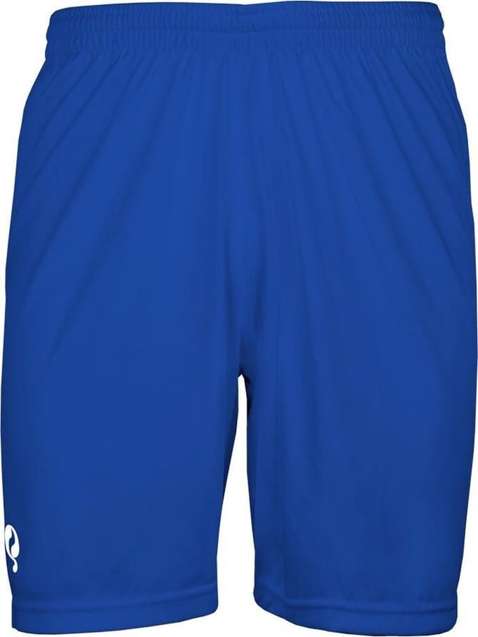 Heren Evergreen active short - Blauw/Wit