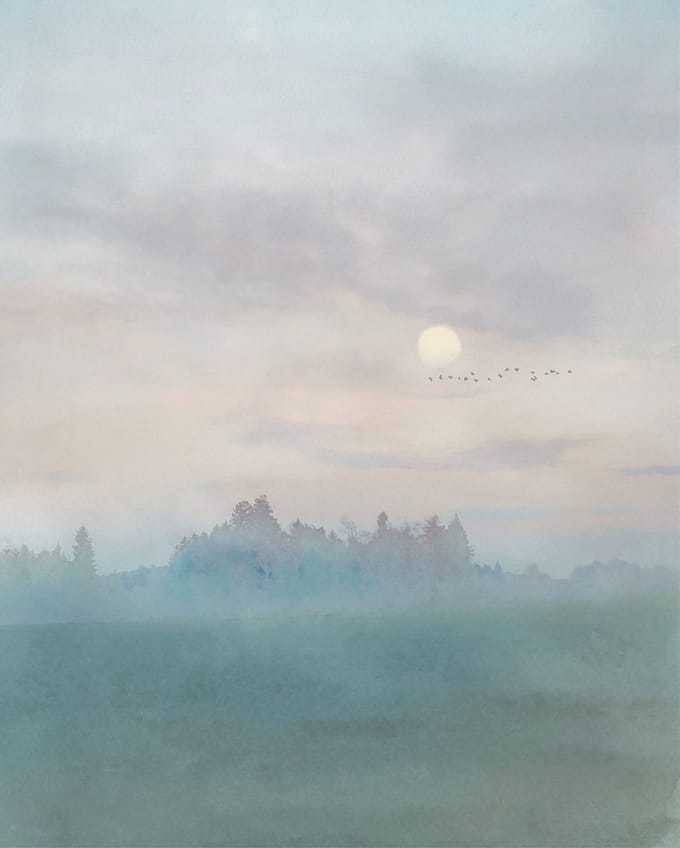 Fotobehang - Hazy Hush 200x250cm - Vliesbehang
