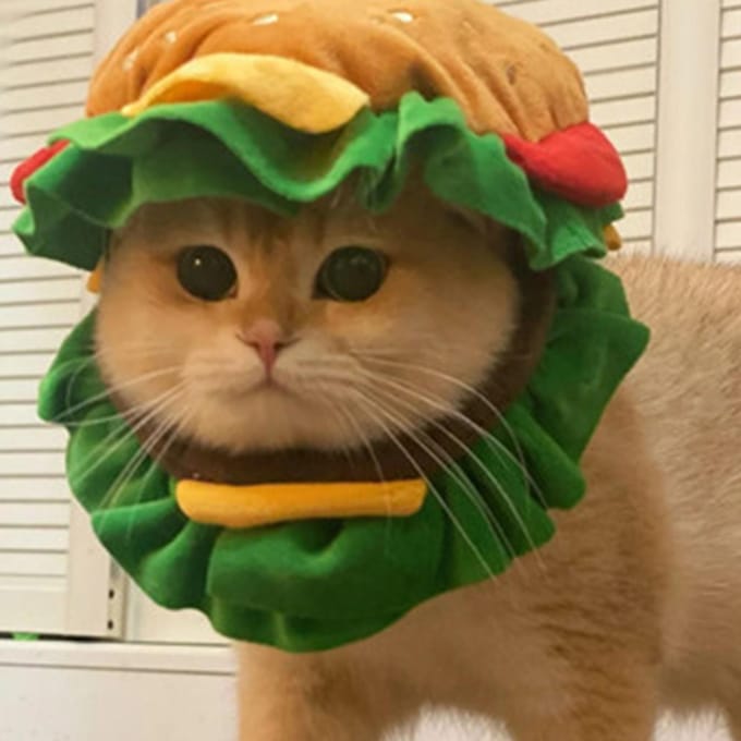 Kat Hamburger Hoofddeksel Cartoon Schattig Zacht Comfortabel Pluche Verstelbare Pet Hoofddeksel voor Feest L red