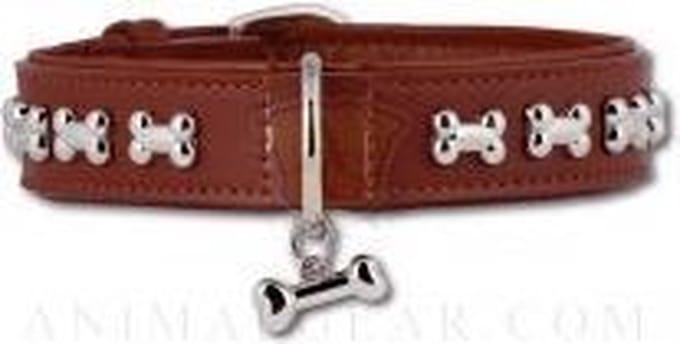 Hondenhalsband Artleather Silverbones brown 40 cm x 20 mm