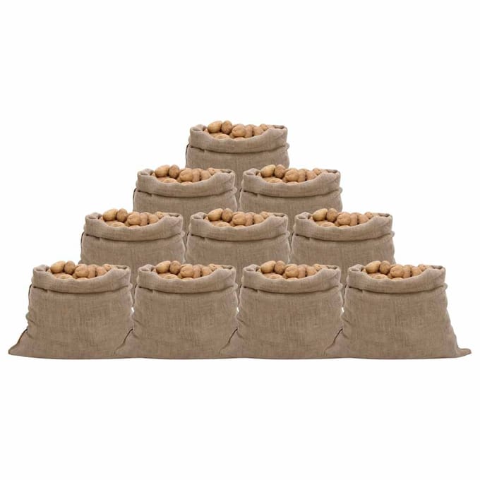 vidaXL - Jutezakken - 10 - stuks - 220 - g/m² - 100x110 - cm - 100% - jute
