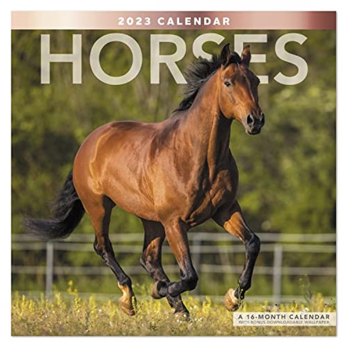 Maandelijkse Paarden Kalender 2023 - 16 Maanden