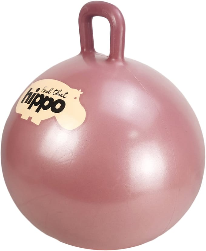 FIND THAT HIPPO Springbal - Roze - Ø45 Cm - Inclusief Pomp - Motoriek En Balans - 2 Jaar