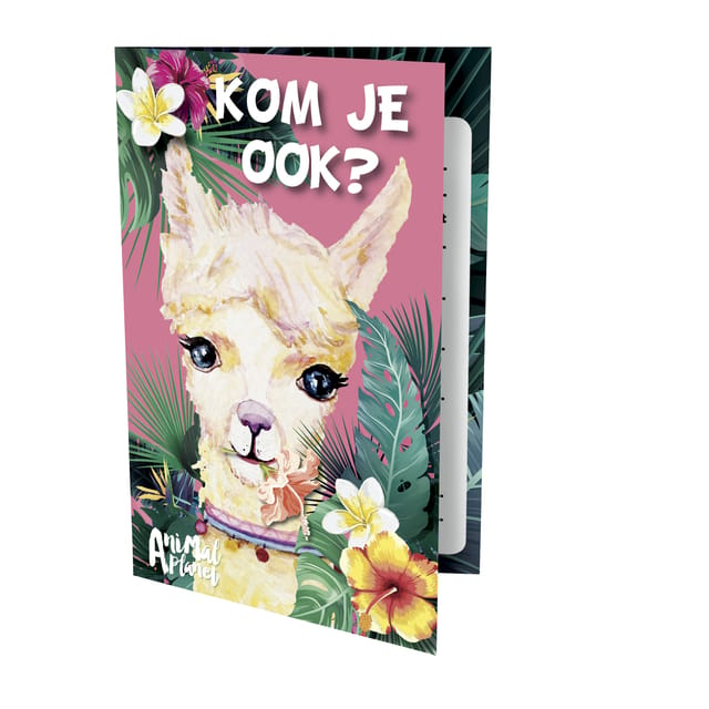 Uitnodigingskaarten - Alpaca - 6st.