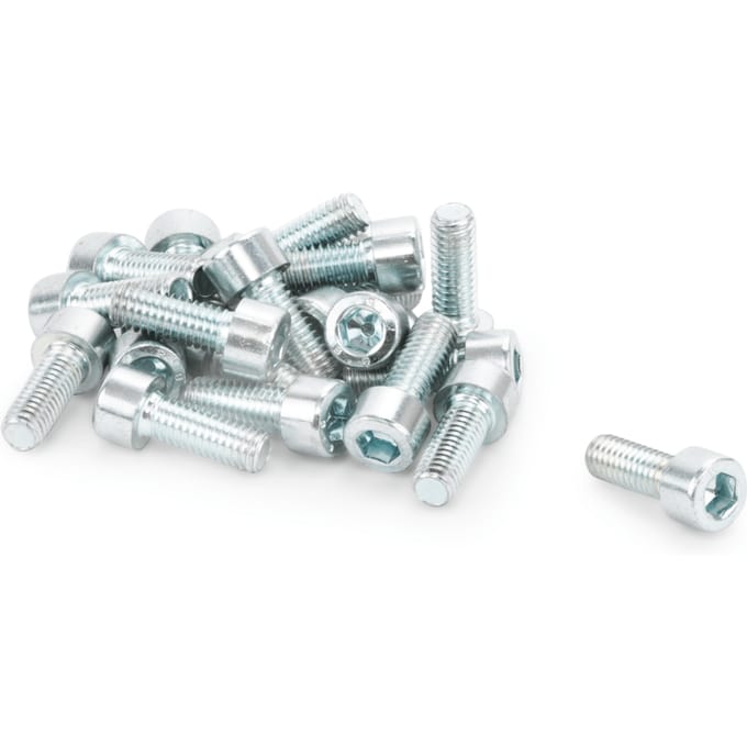 Screw