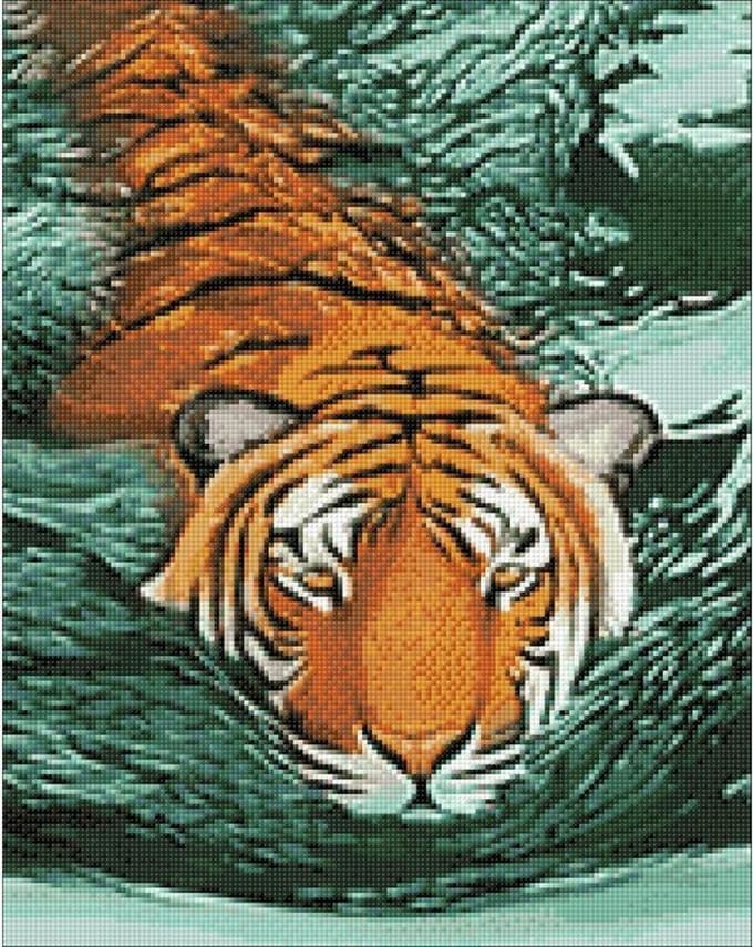 Wizardi Diamond Painting Kit Tiger Waters WD2413
