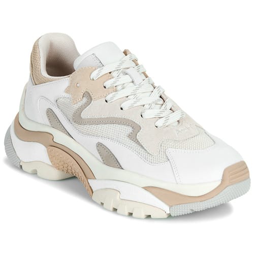 Lage Sneakers Ash ADDICT