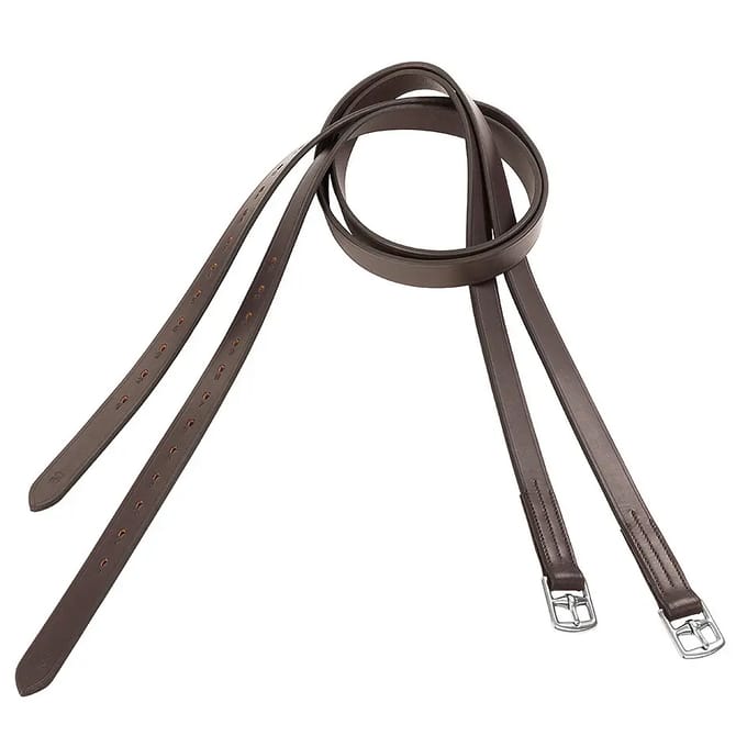 Leren singels voor paard USG Basic (x2)