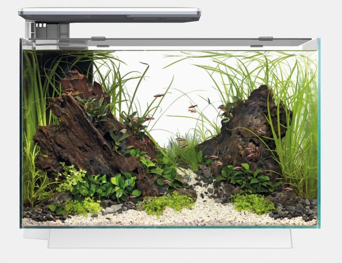 Superfish Quadro 70 Pro - Aquaria - Wit