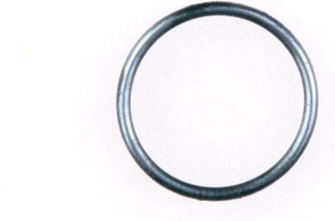 Gloria O-ring 501540