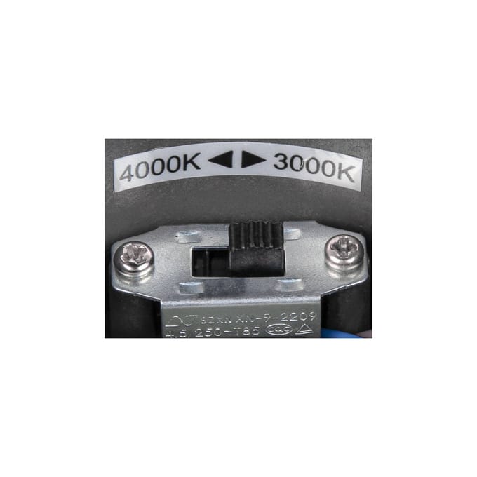 SLV Ovalisk LED buiten plafondlamp CCT