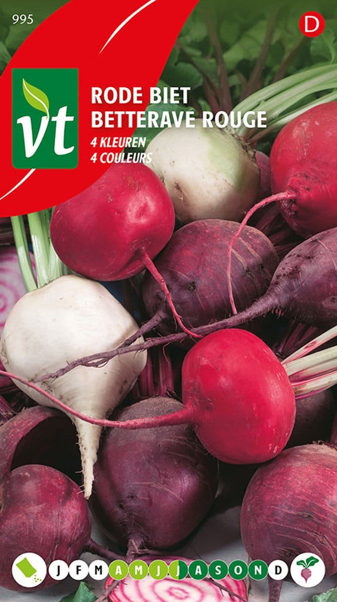 Vierkleurige Rode Biet '4 Couleurs' - Decoratief en Voedzaam