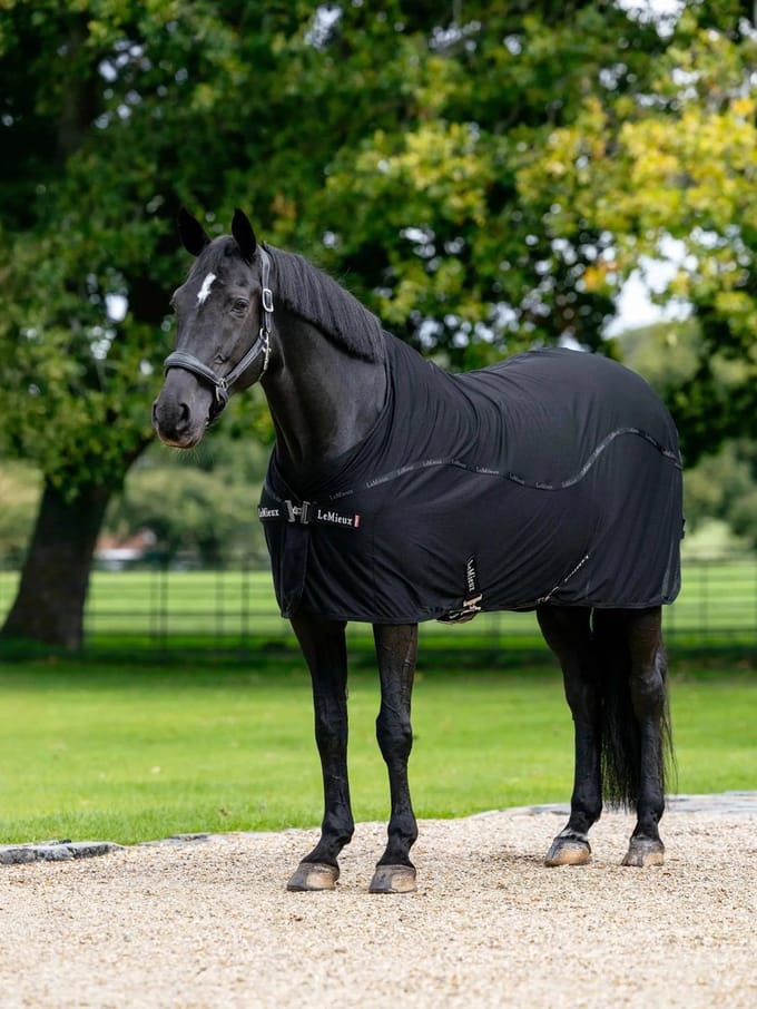 Drooghemd voor paarden LeMieux Arika Air-Tek