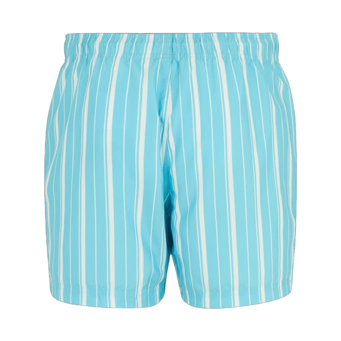 Regatta Heren Loras gestreepte zwembroek (Scandinavisch blauw/wit)