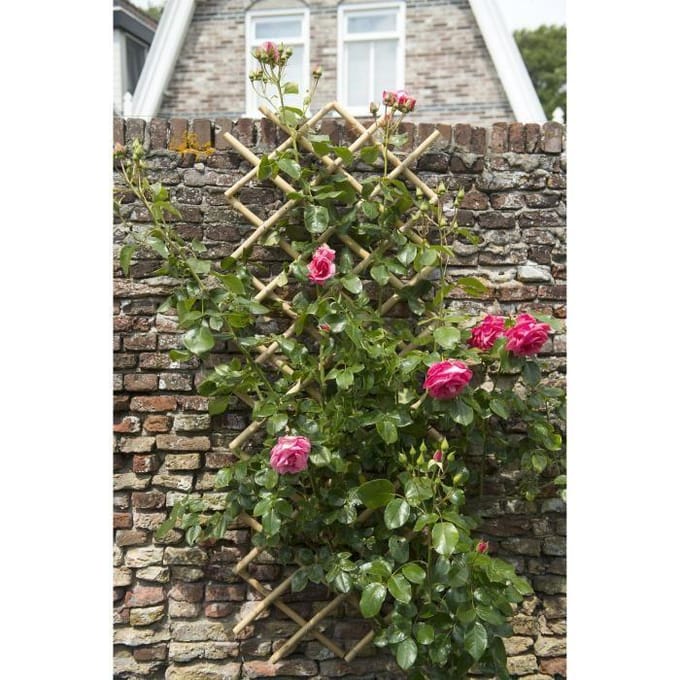 Nature - Bamboe klimrek (rekbaar) - 45cm x 1,8m - Naturel