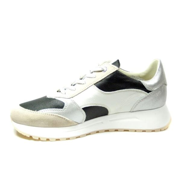 DL Sport 6529