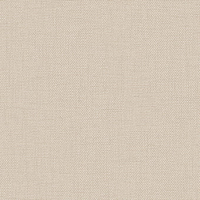 Dutch Wallcoverings - Exclusive Threads Plain Biscuit - TP422942