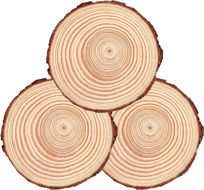 Houten Tuinstapstenen - Tuinpad Stenen - Decoratieve Looppaden - Antislip Ontwerp - 18-20 cm Diameter - Bruin