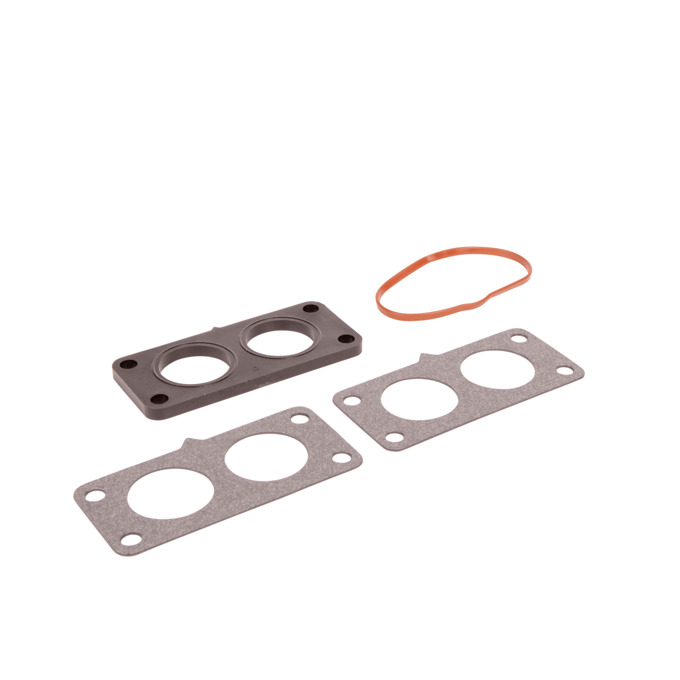 Gasket kit