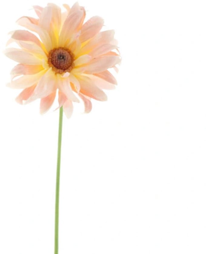 Erutan avon - Gerbera spray Lotte peach 76 cm