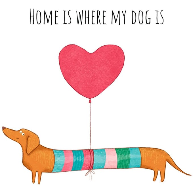 Servet "Dog Home"