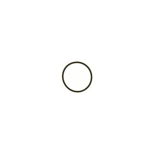 Dornbracht replacement gasket 09141003490