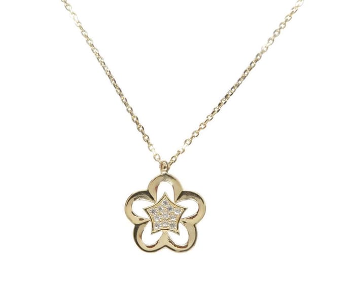 Gouden zirkonia ster hanger