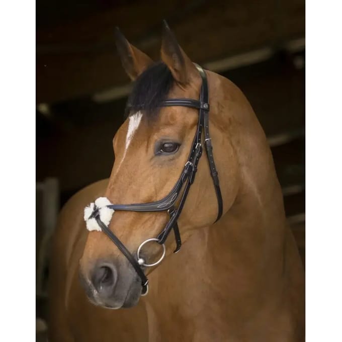 Norton Equestrian Crossed Halter With Neusriem Bruin Full