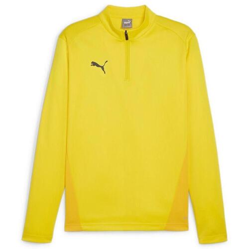 Sweaters Puma Teamgoal