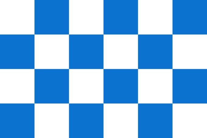 Vlag Dalfsen 30x45cm