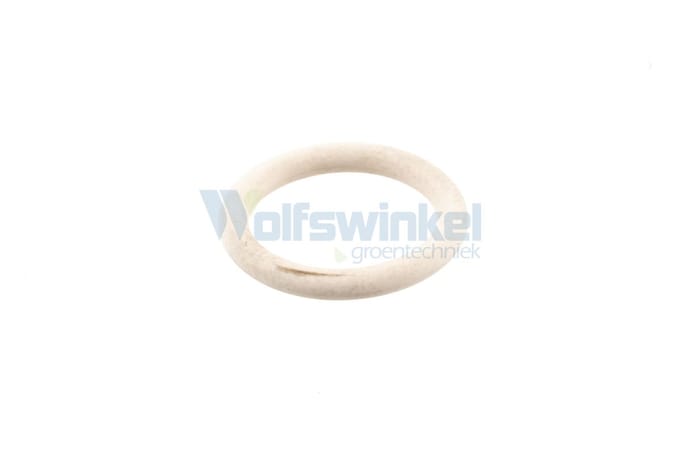 O-ring