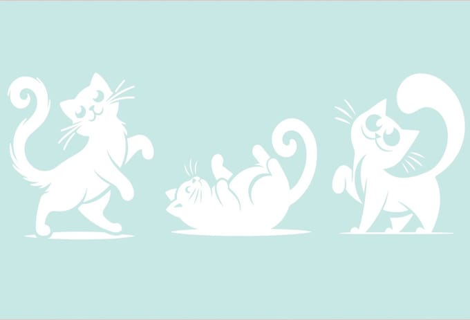 Raam - muur - wall art - stickers grappige katten - poezen - kittens