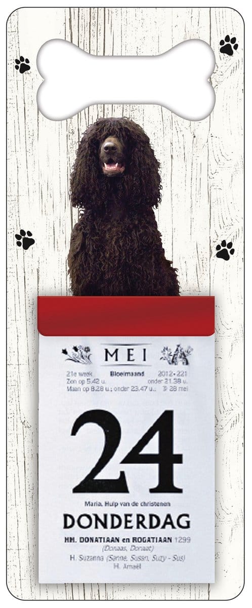 Scheurkalender 2027 Hond: Ierse Water Spaniel