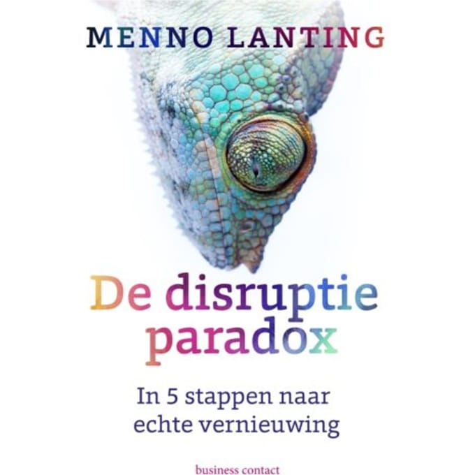 De Disruptieparadox - Menno Lanting