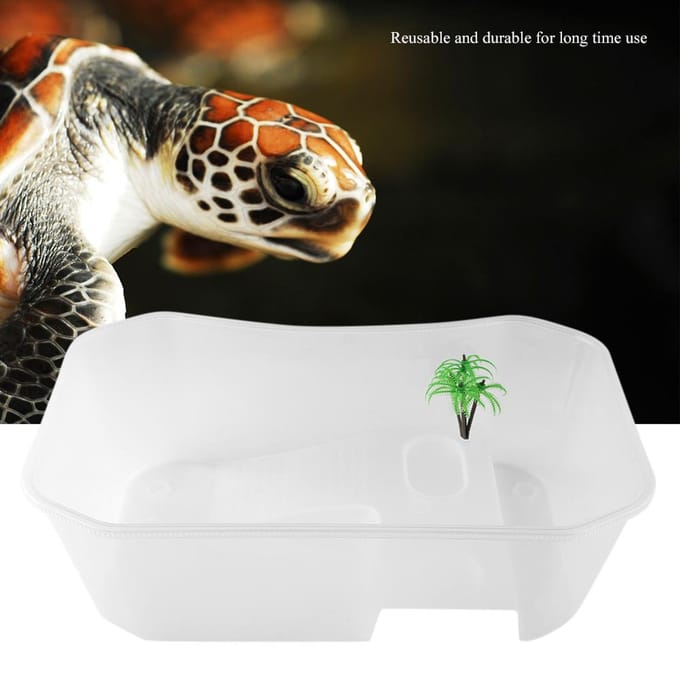 Petit aquarium ouvert en plastique avec plateforme de bronzage pour tortue reptile(blanc) blanc
