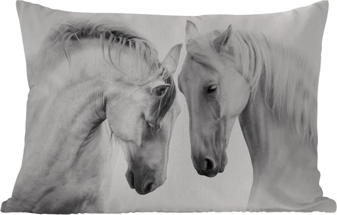 Buitenkussens - Tuin - Paard - Dieren - Portret - Wit - 50x30 cm