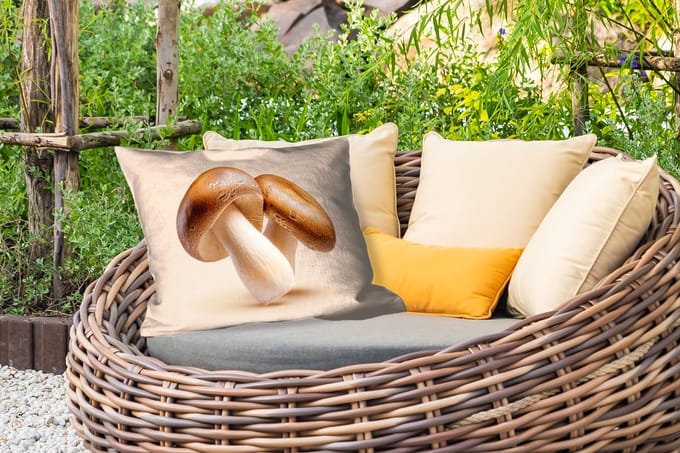 Buitenkussens - Tuin - Champignons - Zacht - Beige - 50x30 cm