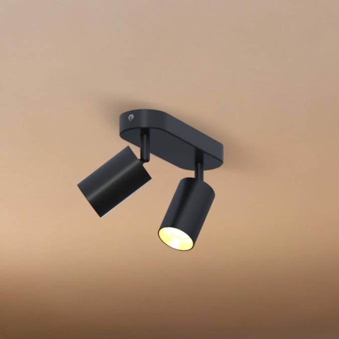 Calex Plafondlamp - 2-Lichts - Opbouwspot - Ovaal - Zwart - Goud