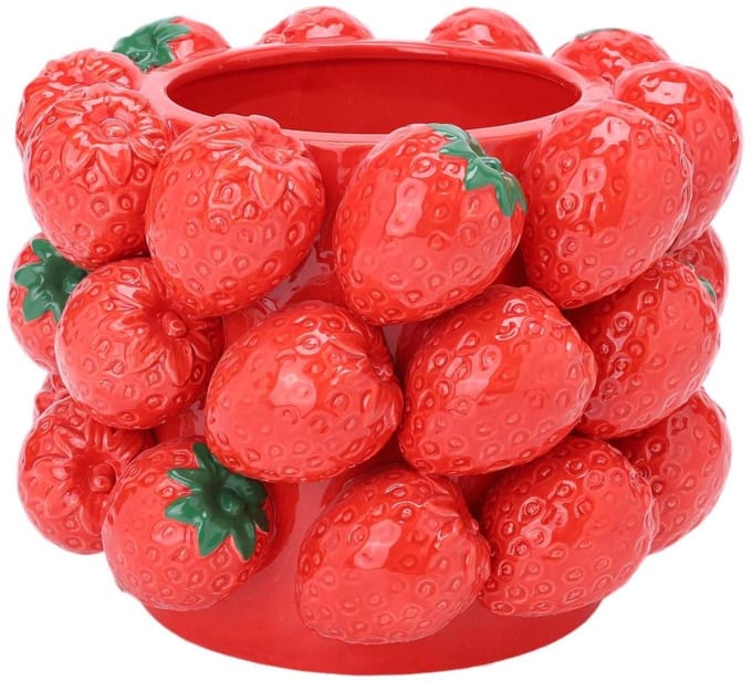 House of Nature Vaas Strawberry Delight 20cm